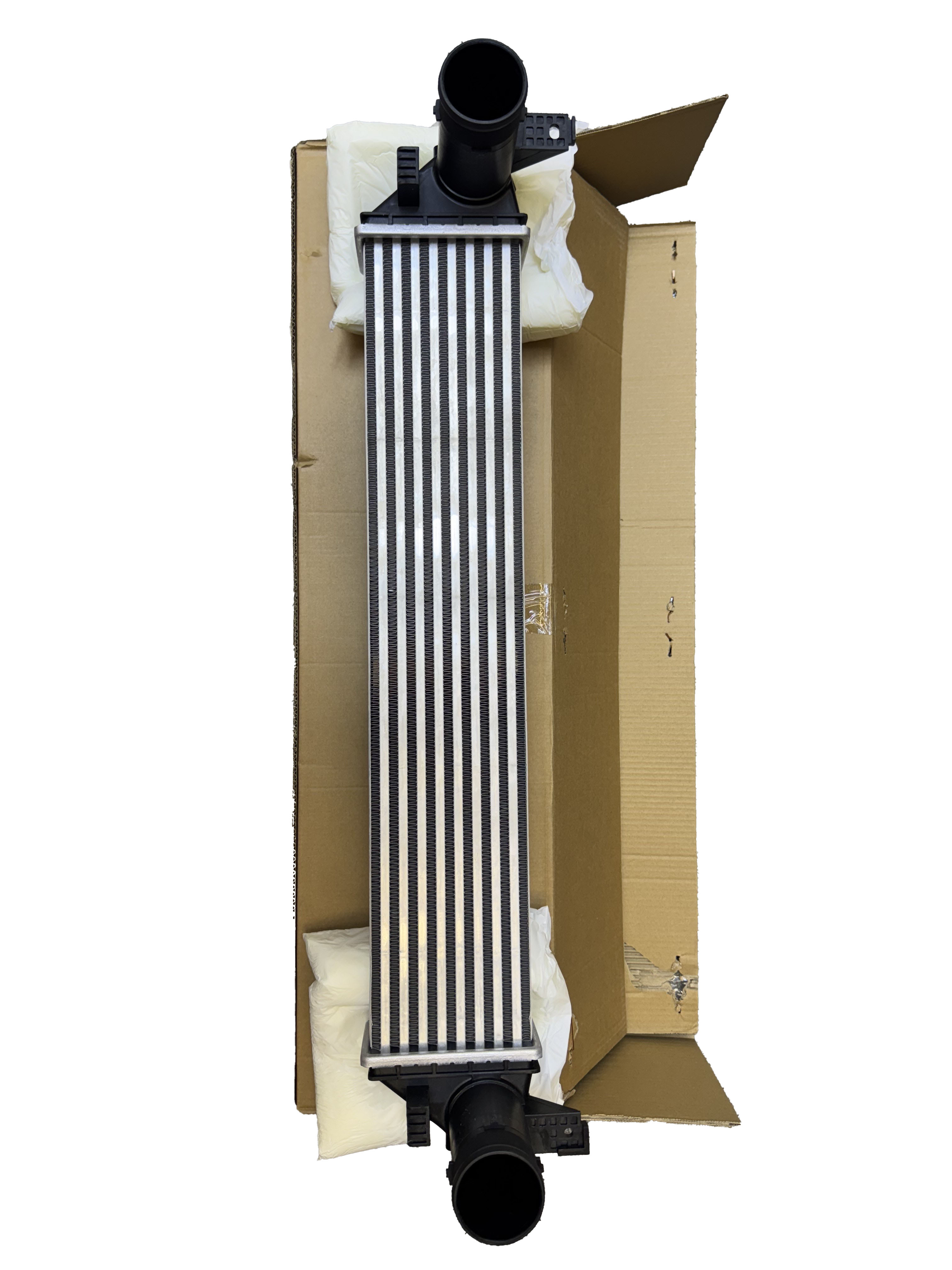 اینترکولر فونیکس FX