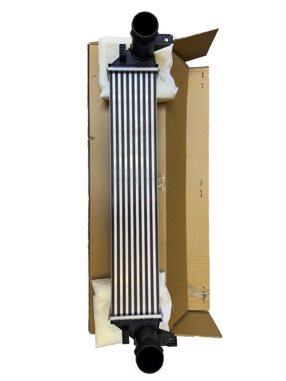 اینترکولر فونیکس FX